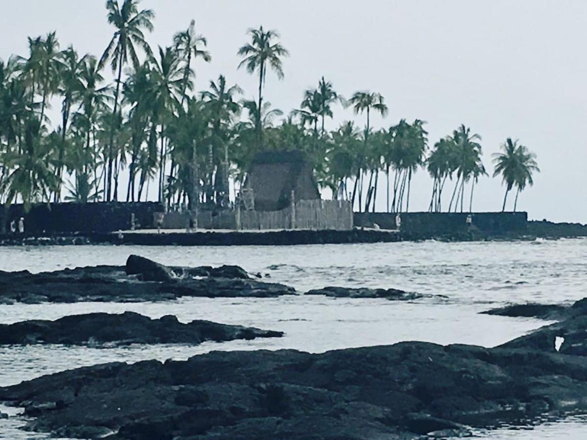 The Cozy Big Studio -30 Days Kailua-Kona Exteriör bild