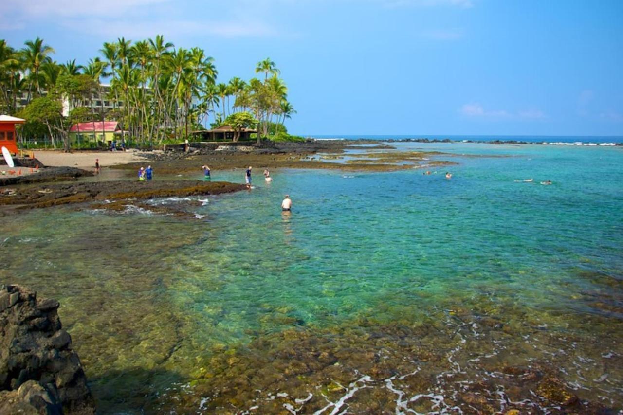 The Cozy Big Studio -30 Days Kailua-Kona Exteriör bild